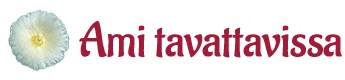 Ami Tavattavissa